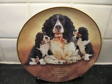 SPRINGER SPANIEL  DOG   PLATE -   A PLEASURE TO BEHOLD    - DANBURY MINT