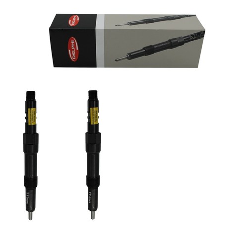 Reman delphi injector - delphi,