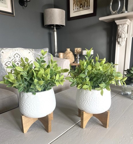 Set artificial shrubs in - artificial,