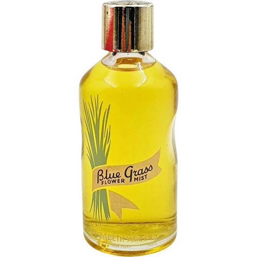 Vintage elizabeth arden blue - vintage,