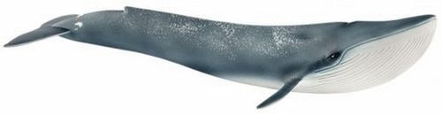 Schleich wild life blue - schleich, whale