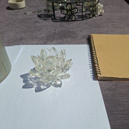 Swarovski crystal water lily - water,