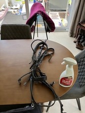 bridle (TACK ROOM CLEAROUT)