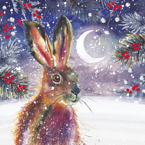 Christmas cards cats - christmas,