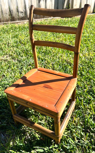 Vtg palm beach regency - palm, bamboo