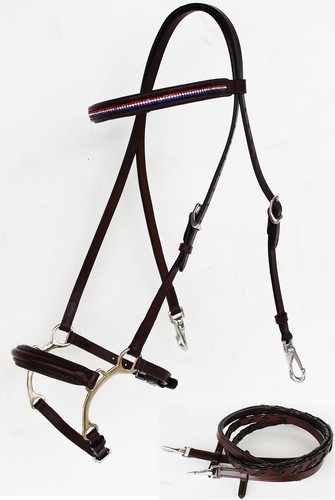 Horse english leather bridle - horse,