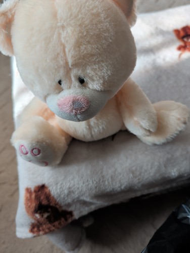 Cream teddy bear - teddy', plush