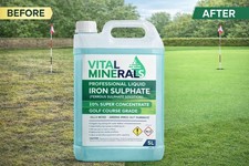 Iron Ferrous Sulphate Solution
