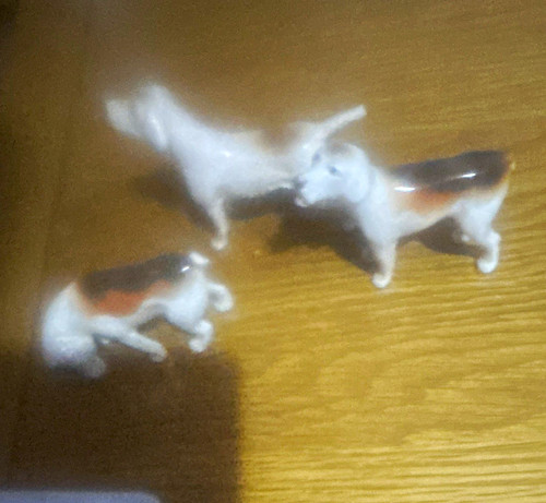 Fox hounds - 3x,
