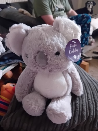 Koala bear cuddly plush 30cm - plush,,