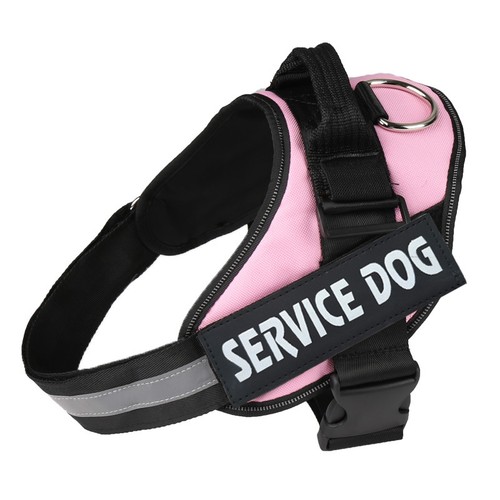 Personalized dog harness - personalized, no