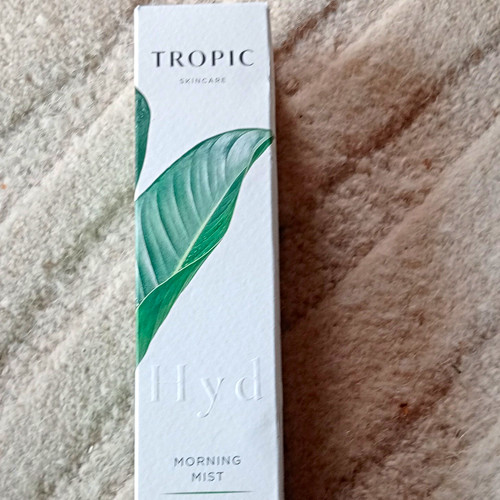 Tropic morning mist - morning,
