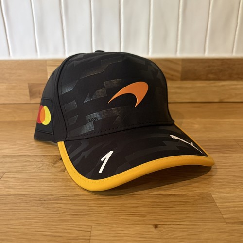 Lando norris mclaren 2026 - norris, f1