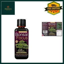 Bonsai focus plant - focus, feed
