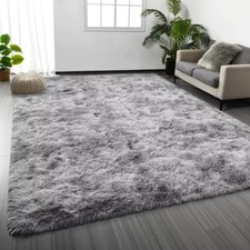 Area Rug for Living