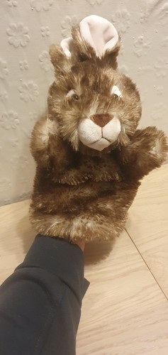 Wild brown rabbit - rabbit, hand