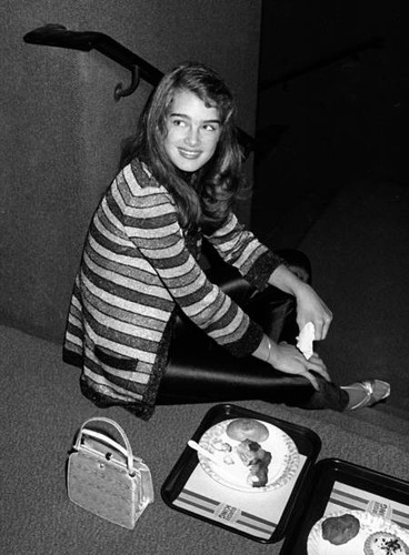 Brooke shields police - brooke, ny