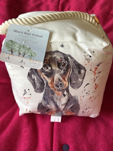 Jennifer rose dachshund dog - jennifer,