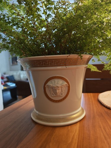 Versace medusa gorgona - medusa,
