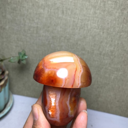 Natural red agate mushroom - natural,