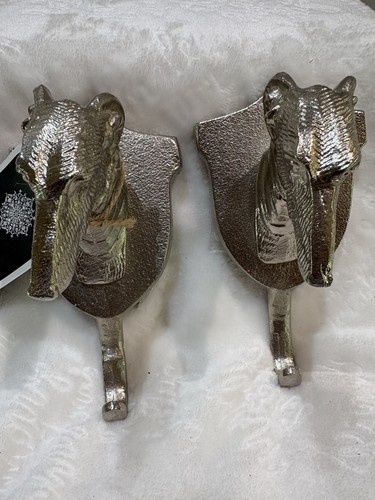 Pair greyhound uniquely - pair, of