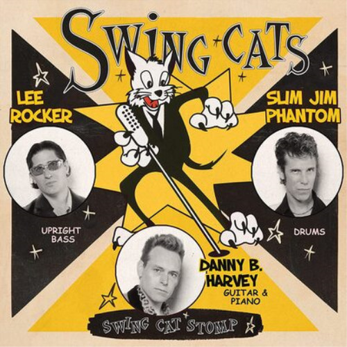 Swing cats cat - cats,