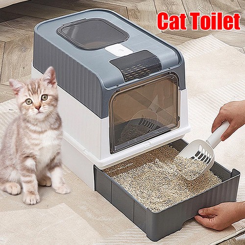 Xxl large cat litter - large, box