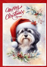 Havanese Dog Christmas Card