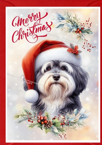 Havanese dog christmas - havanese,