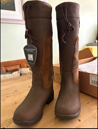 Equestrian hurdlow - equestrian,