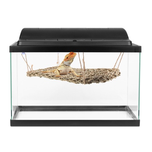 Lizard swing toy pet - lizard,