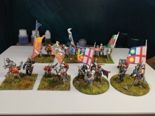 11 X 28mm Perry WotR Command And Banners Foot And Mounted Fully Painted & Based
