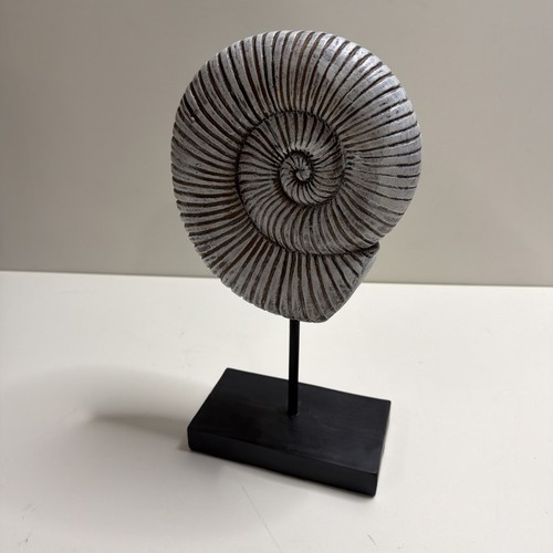 Shell nautilus ammonite - 12",