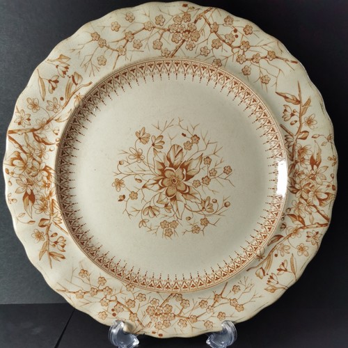 Keeling rare ivory - &,