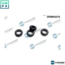SEAL RING INJECTOR DRM0481S