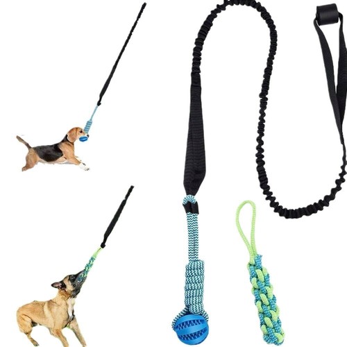 Outdoor bungee tug dog toy - bungee,