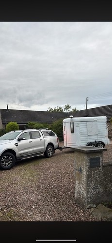 Horse trailer pegasus - -,