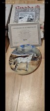 Spode Plate Appaloosa Horse