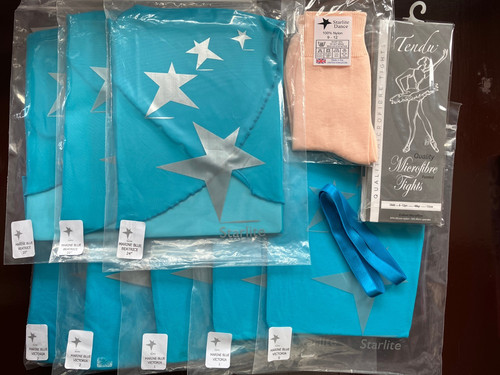 Job lot ballet leotards - lot, of