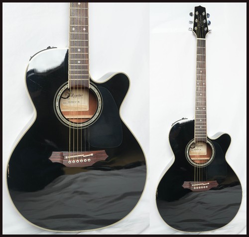 Takamine tdp 561c vacuum - tdp-561c, bl