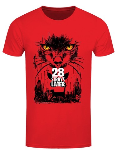 Horror cats strays later - 28,