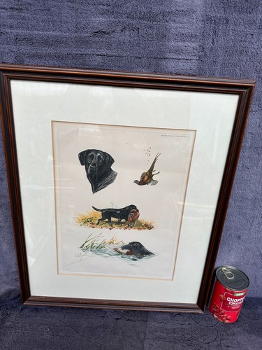 Lovely signed paris - lovely, (perfect)