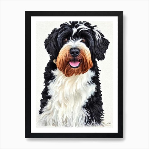 Black russian terrier - russian,