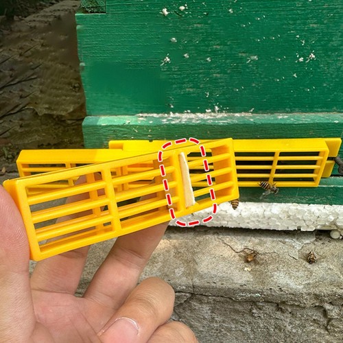 Automatic bee separator - automatic,