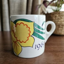 Prince Charles Investiture Mug Lord Nelson Pottery Marianne Zara Caernarfon 