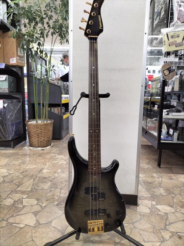 Fernandes fretless bass - fernandes, pj