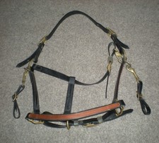 Beta Biothane Horse Headstall