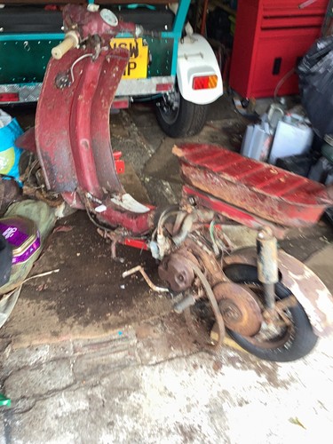 Triumph tina - triumph,
