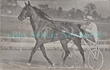 Horse Racing - UHLAM WORLD