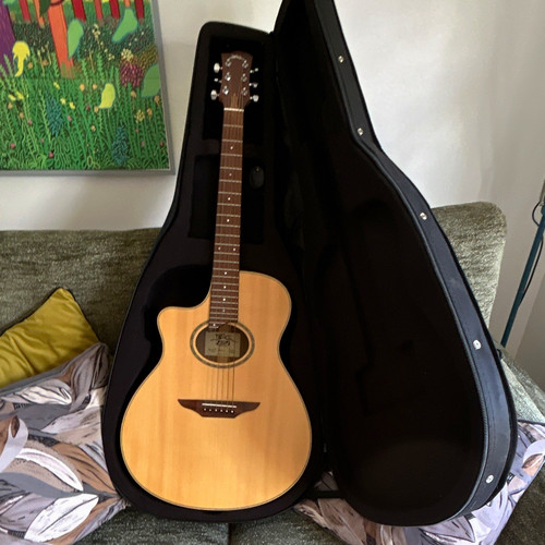 Bsg apro 12f semi acoustic - 12f,